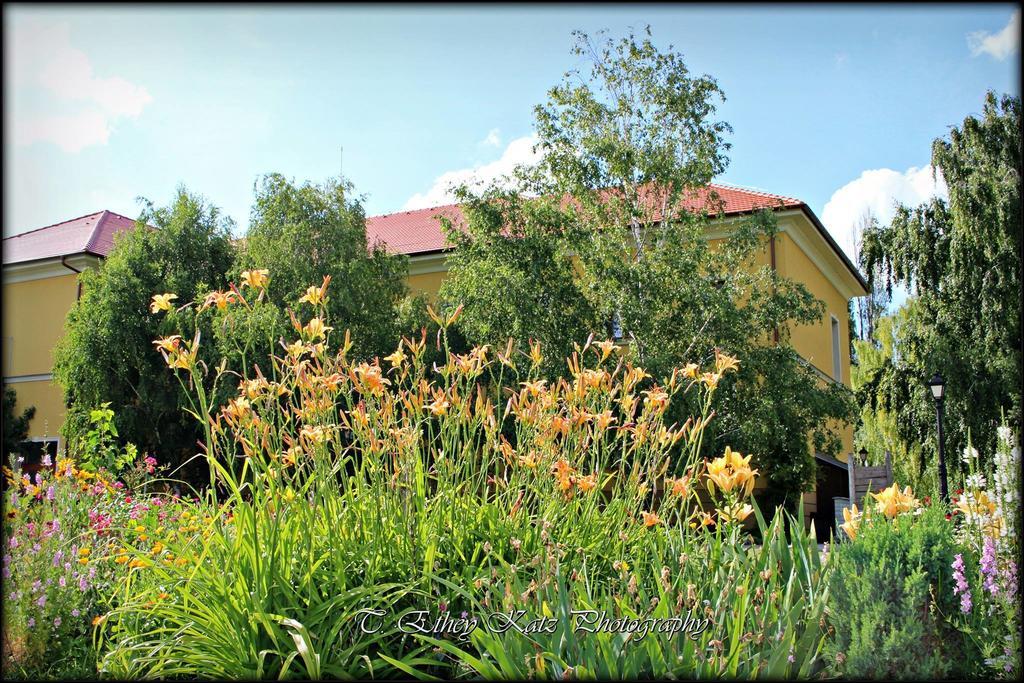 Hotel *** Plauter Kuria Veľký Meder Exteriér fotografie